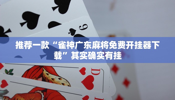 推荐一款“福州十八扑辅助挂”其实确实有挂