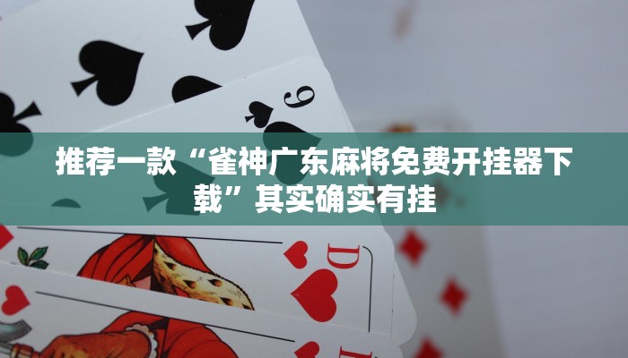教程辅助!“财神十三张免费开挂的软件”其实确实有挂