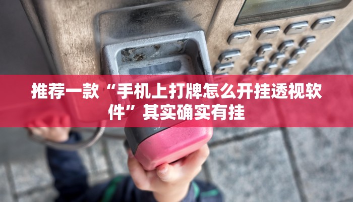 推荐一款“新玉海楼茶苑13张怎么开挂”其实确实有挂