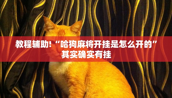 教程辅助!“蛮子麻将开挂神器下载”其实确实有挂