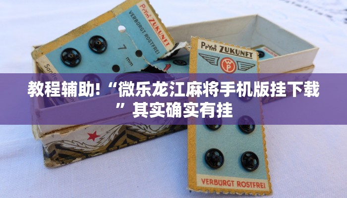 教程辅助!“微乐龙江麻将手机版挂下载”其实确实有挂