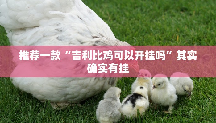 教程辅助!“微乐跑得快如何让系统发好牌”其实确实有挂