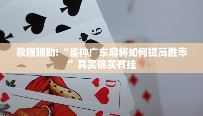 教程辅助!“微乐麻将小程序万能开挂器免费”其实确实有挂