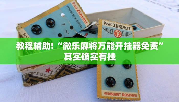 教程辅助!“微乐会让一个id总输吗”其实确实有挂