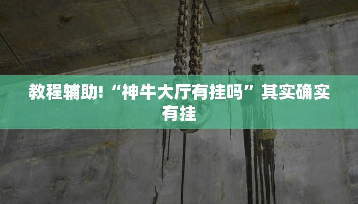 教程辅助!“微乐河南麻将小程序万能挂免费版”其实确实有挂