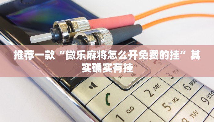 教程辅助!“微乐透视插件”其实确实有挂