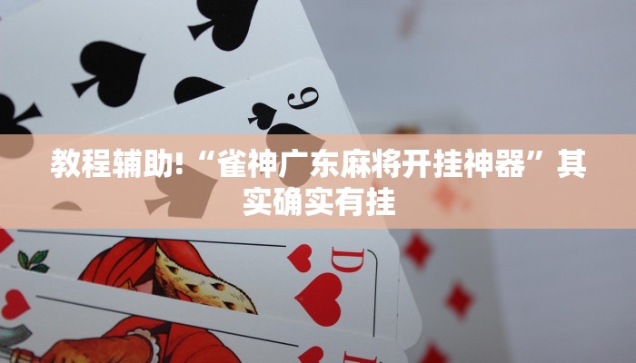 教程辅助!“雀神广东麻将开挂神器”其实确实有挂
