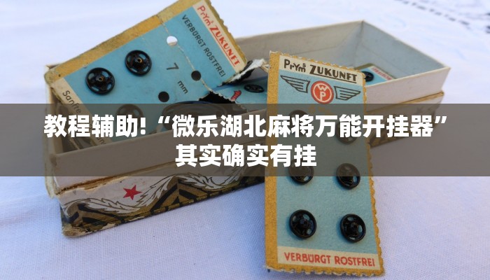教程辅助!“微乐湖北麻将万能开挂器”其实确实有挂