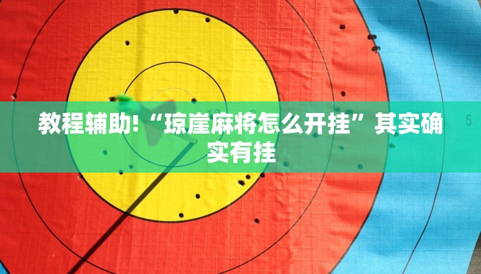 教程辅助!“琼崖麻将怎么开挂”其实确实有挂
