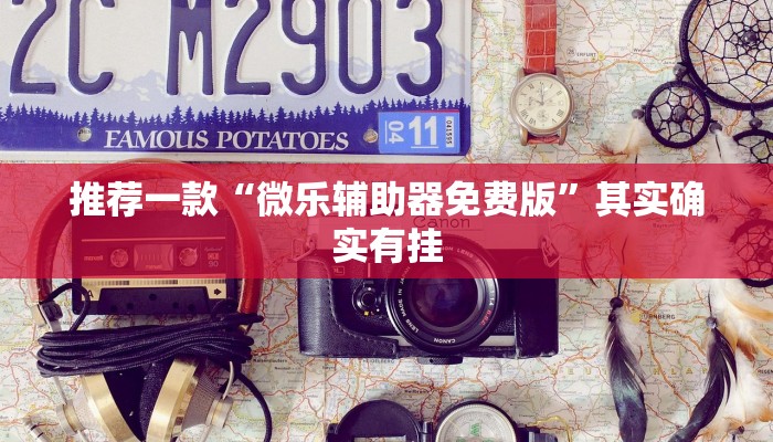 推荐一款“微乐辅助器免费版”其实确实有挂