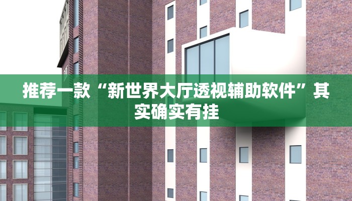 推荐一款“新世界大厅透视辅助软件”其实确实有挂