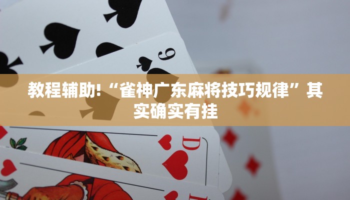 教程辅助!“雀神广东麻将技巧规律”其实确实有挂