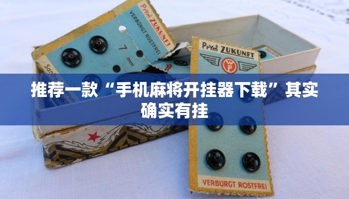推荐一款“手机麻将开挂器下载”其实确实有挂