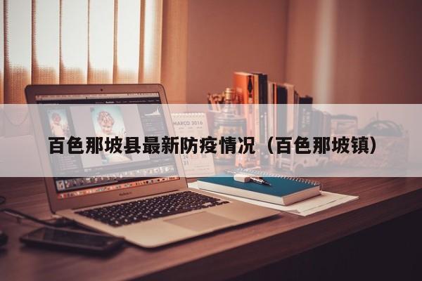 百色那坡县最新防疫情况（百色那坡镇）