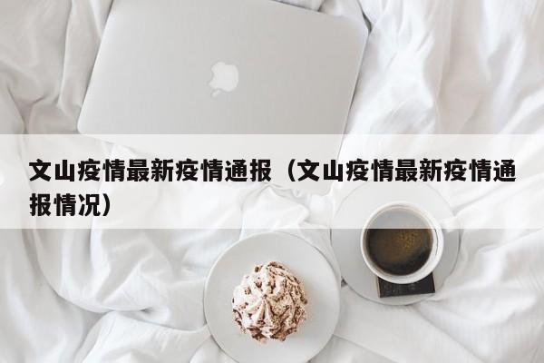 文山疫情最新疫情通报（文山疫情最新疫情通报情况）